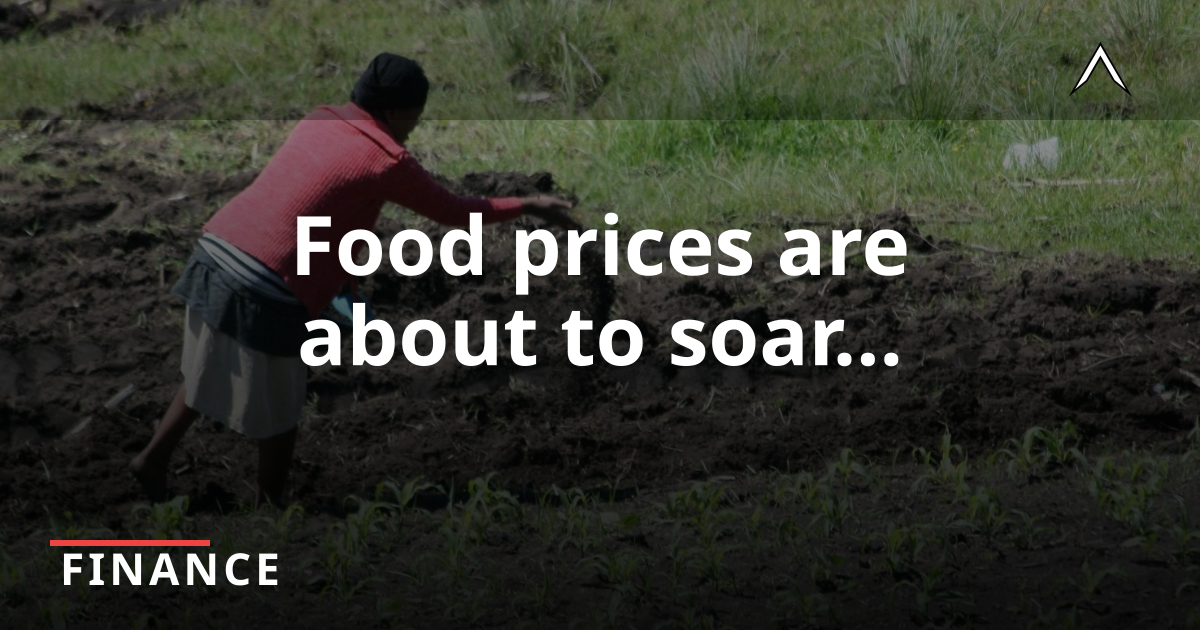Fertiliser Shortages Spark Global Food Price Crisis