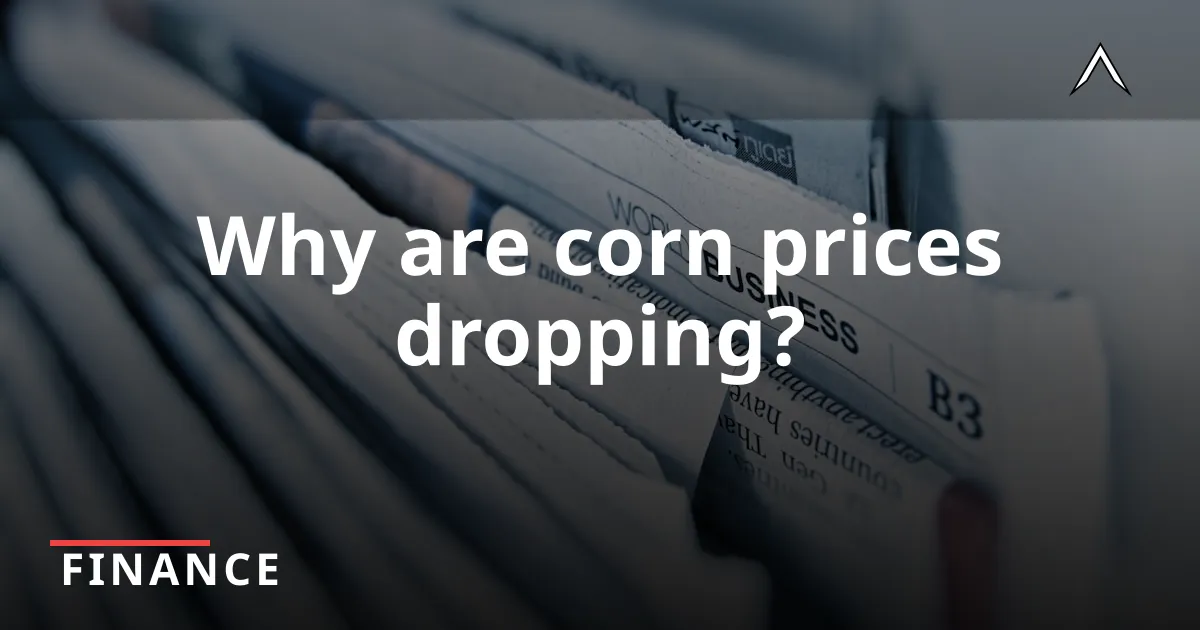 Corn Prices Dip: What You Need to Know